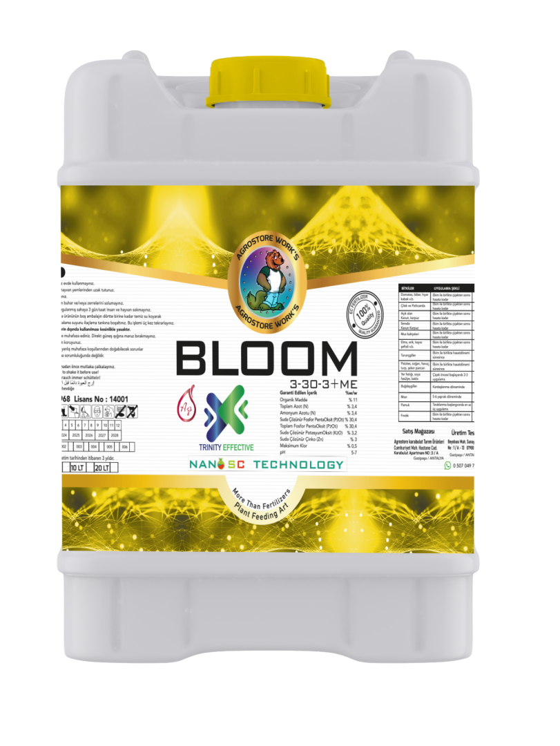 Bloom